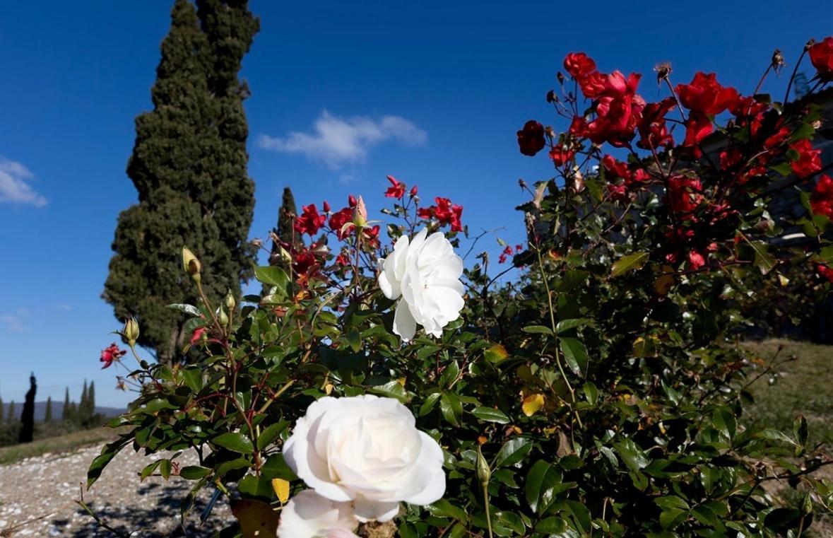 Agriturismo Il Ghiaccio 수베레토 외부 사진